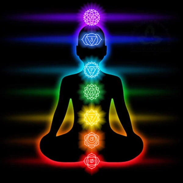 Kundalini Yoga seven-chakras-Aasna by SSIYM Surat with Shailesh Bhai Gilitwala.436jpg